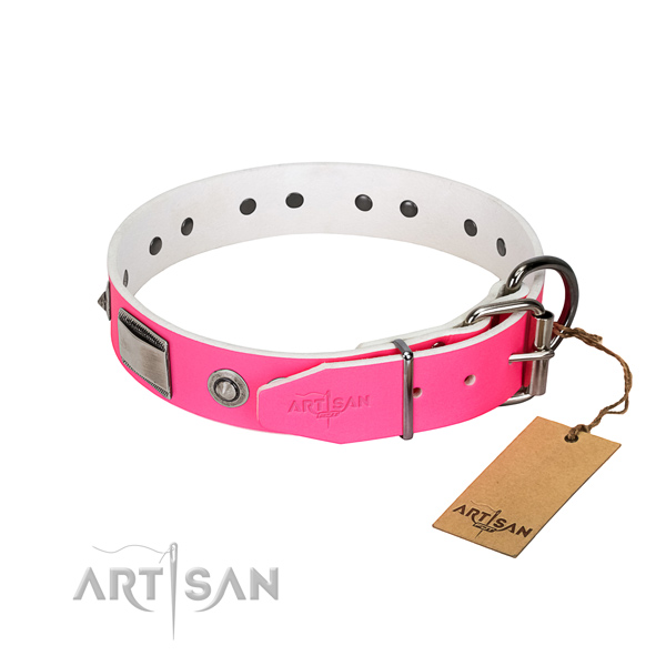 Trendy dog collar of natural leather with decorations