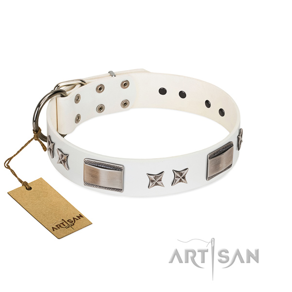 Handmade dog collar of leather