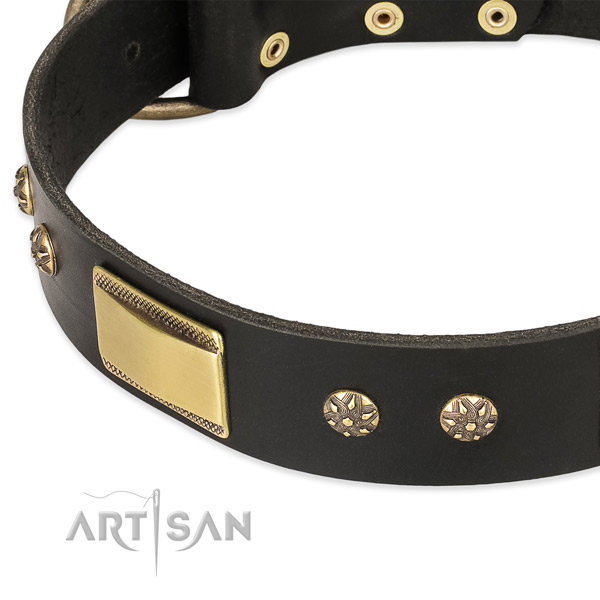 Strong traditional buckle on genuine leather dog collar for your dog