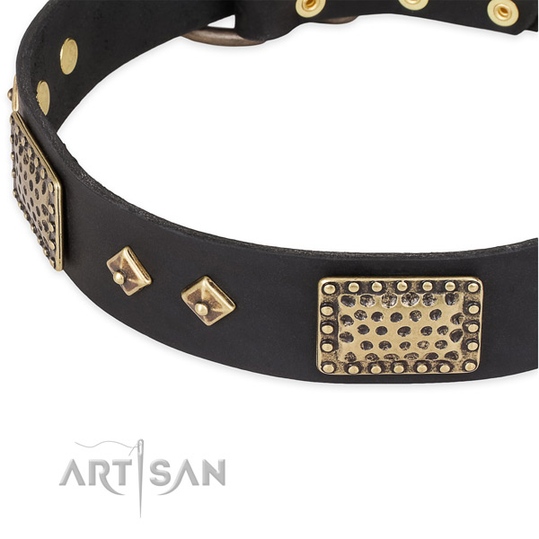 Durable decorations on leather dog collar for your pet