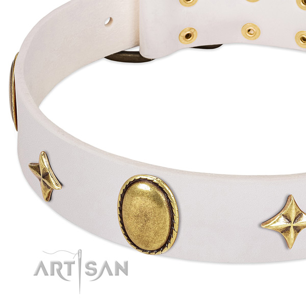 Best quality leather dog collar with corrosion resistant D-ring