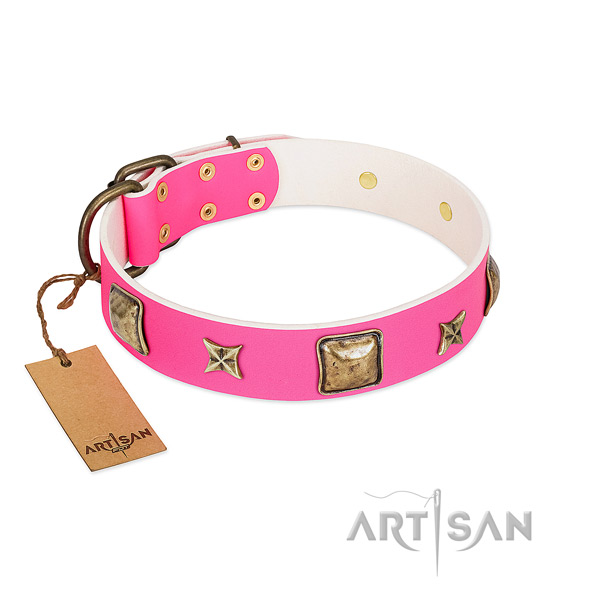 Full grain natural leather dog collar of top rate material with significant studs