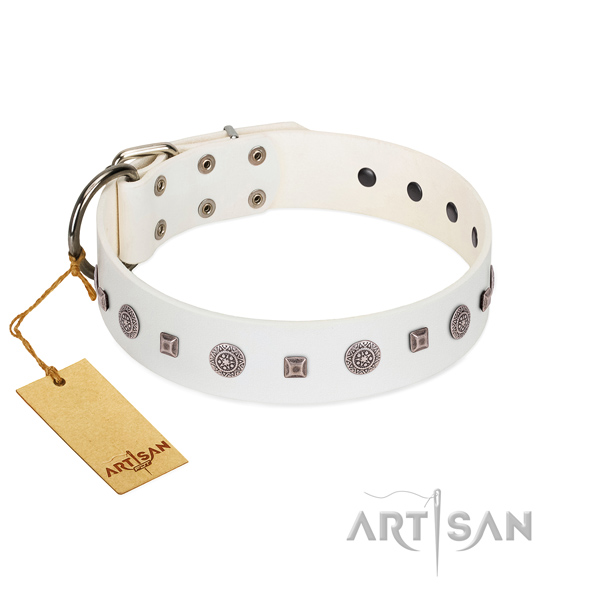 Rust-proof fittings on adjustable full grain natural leather dog collar