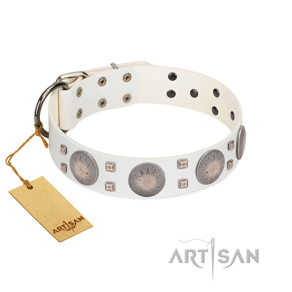 Unusual full grain leather dog collar for daily walking your pet