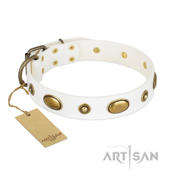 Decorated full grain leather collar for your canine
