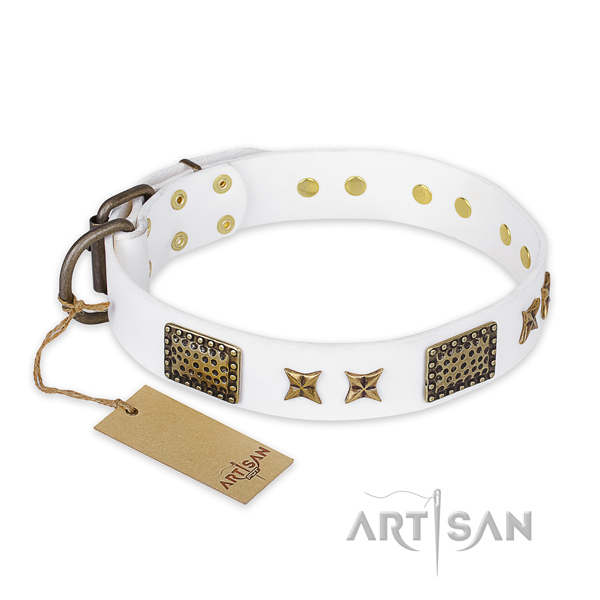 Easy wearing leather dog collar with rust resistant fittings
