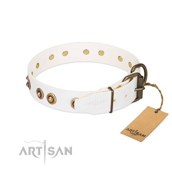 Reliable studs on natural leather dog collar for your canine