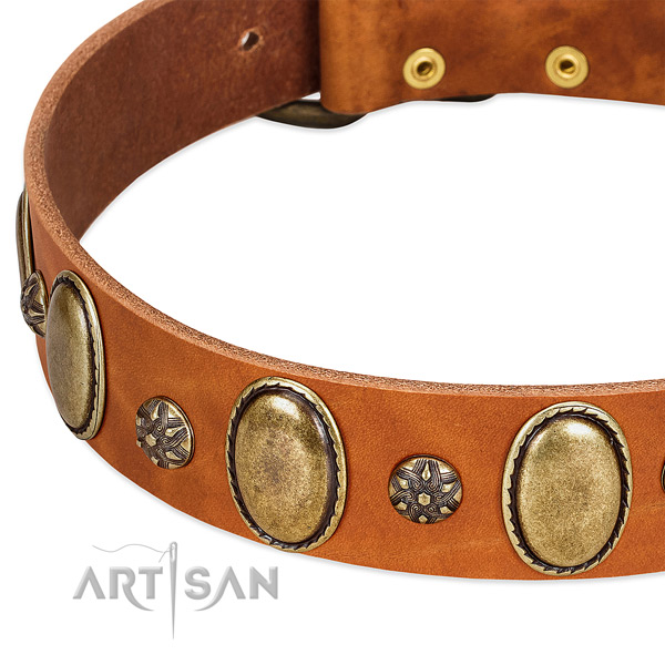 Everyday walking soft genuine leather dog collar