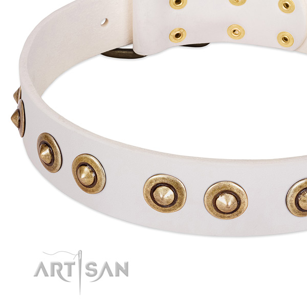 Corrosion resistant traditional buckle on full grain natural leather dog collar for your canine