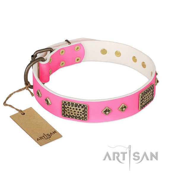 Easy wearing full grain natural leather dog collar for basic training your canine