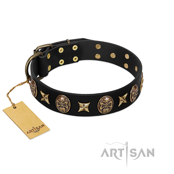 Incredible full grain leather collar for your dog