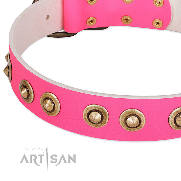 Corrosion resistant buckle on genuine leather dog collar for your canine