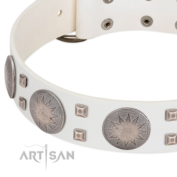 Exquisite leather dog collar with rust-proof buckle