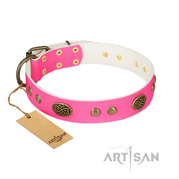 Reliable traditional buckle on natural leather dog collar for your dog