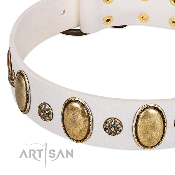 Easy wearing gentle to touch full grain natural leather dog collar with embellishments