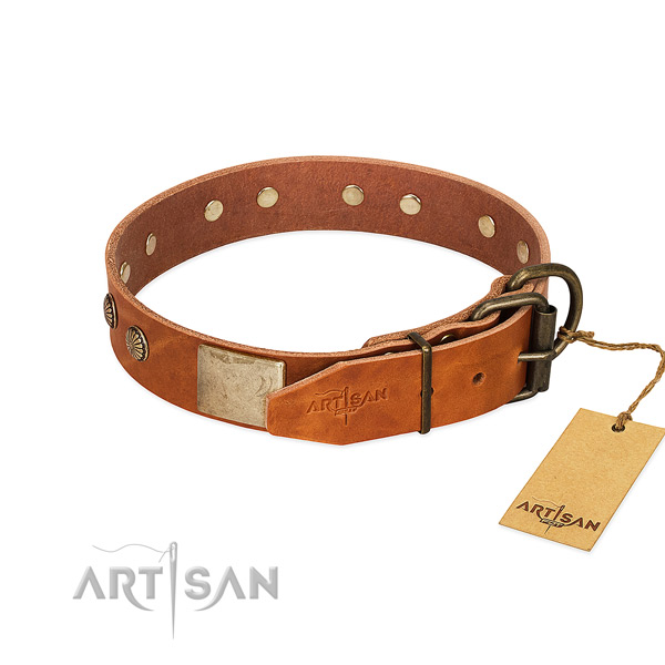 Durable buckle on comfortable wearing dog collar