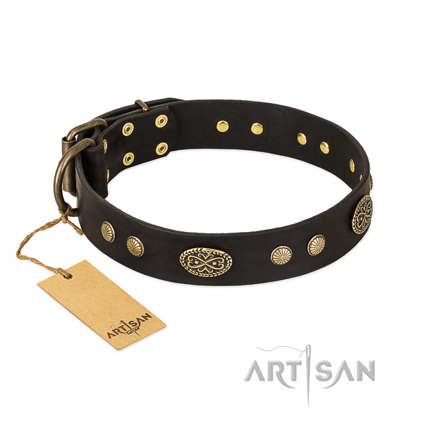 Corrosion resistant embellishments on genuine leather dog collar for your pet