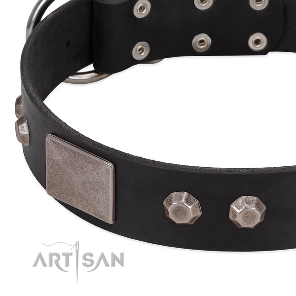 Walking top notch genuine leather dog collar