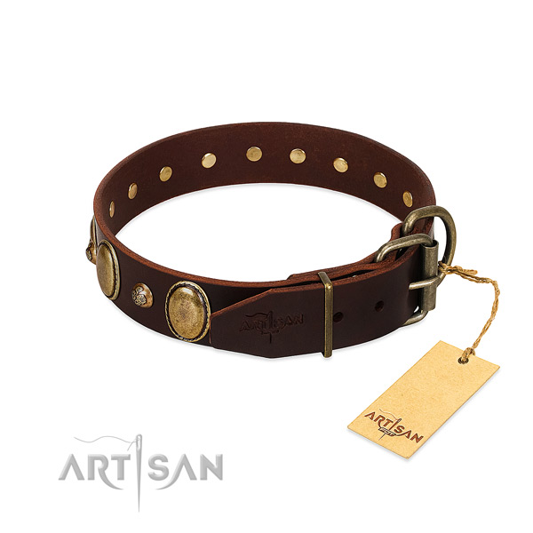 Reliable hardware on full grain natural leather collar for fancy walking your dog