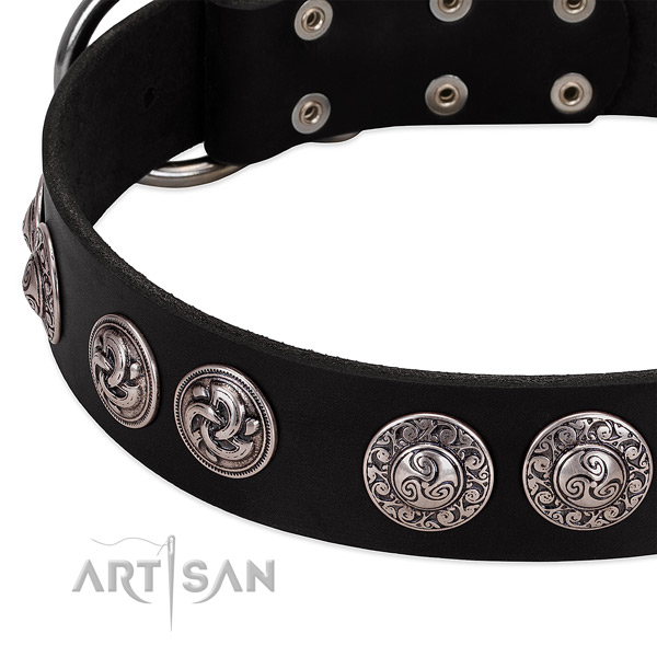 Significant full grain leather dog collar for comfy wearing