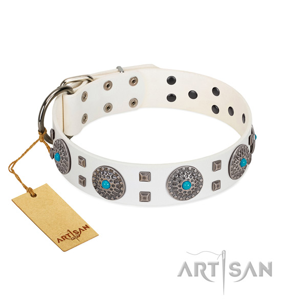 Comfortable wearing genuine leather dog collar with inimitable studs