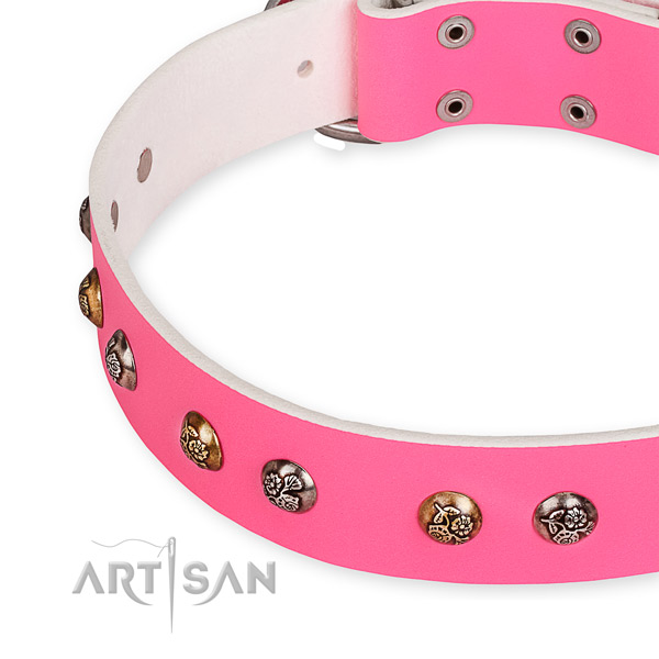Full grain natural leather dog collar with stylish corrosion resistant adornments