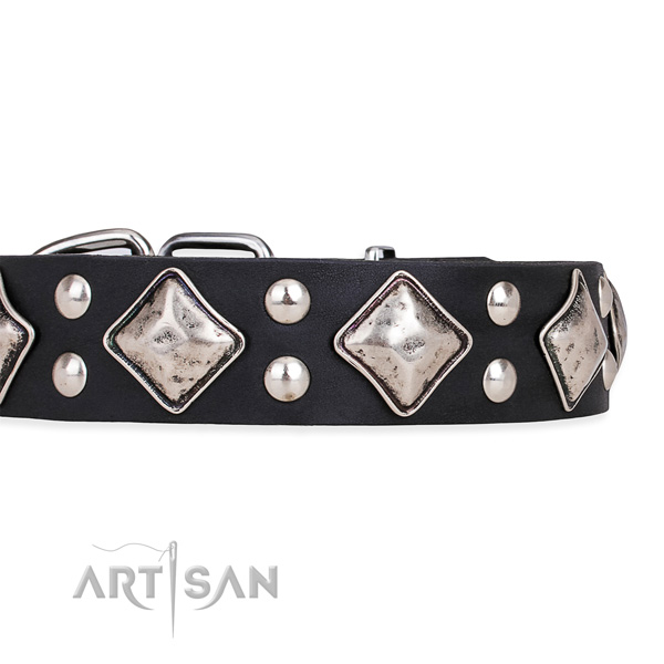 Full grain natural leather dog collar with stylish corrosion resistant adornments