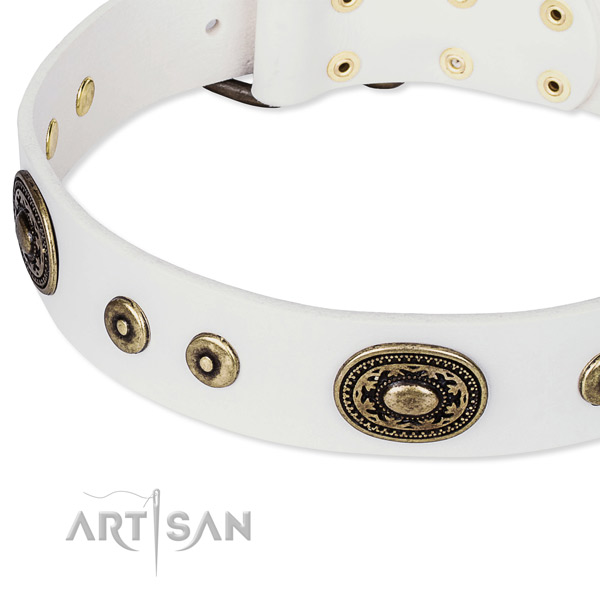 Full grain natural leather dog collar made of flexible material with adornments
