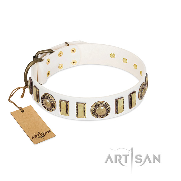 Designer full grain natural leather dog collar with strong fittings