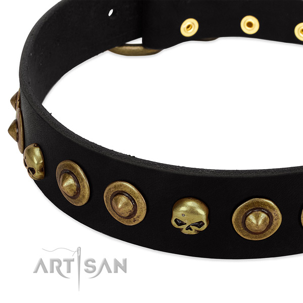 Amazing adornments on natural leather collar for your dog
