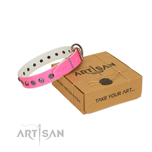 designer dog collars