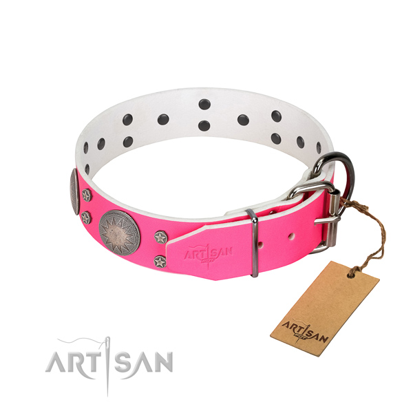 Top notch full grain natural leather dog collar with studs for your beautiful canine