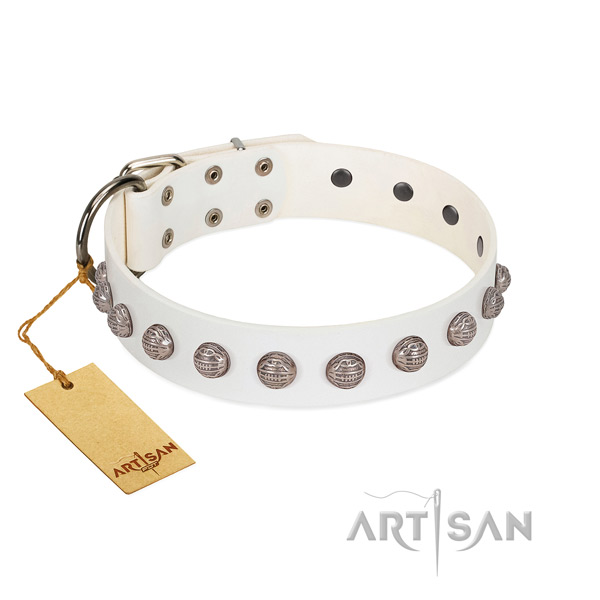 Natural leather collar with unusual adornments for your doggie