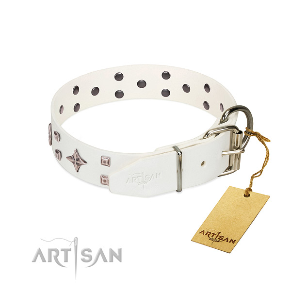 Full grain leather dog collar with extraordinary studs