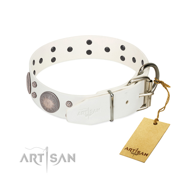 Walking embellished full grain genuine leather dog collar