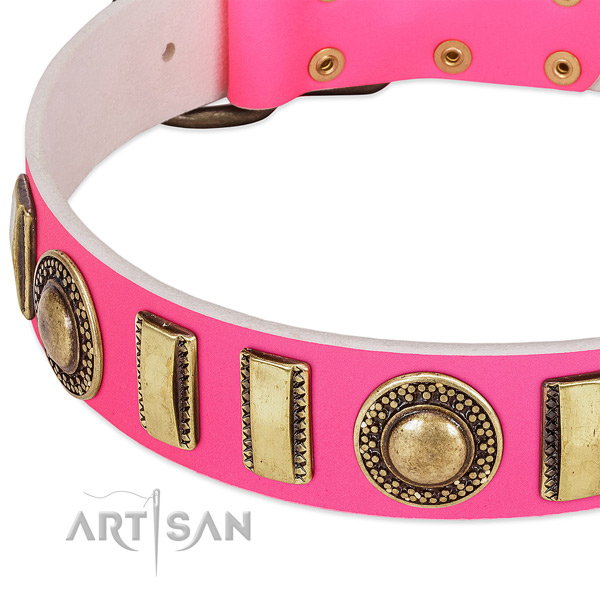 Reliable natural leather dog collar for your beautiful four-legged friend