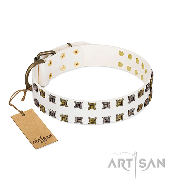 Leather collar with awesome embellishments for your pet
