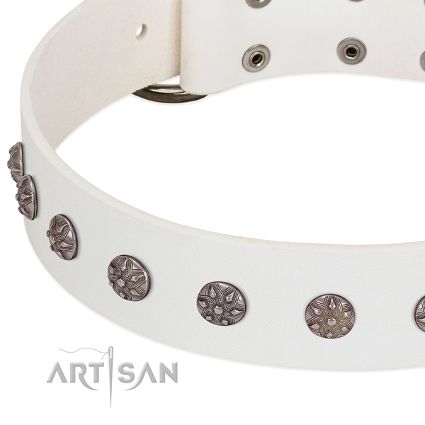 Gentle to touch natural leather dog collar with adornments for your canine