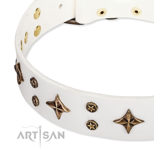 Comfortable wearing adorned dog collar of durable leather