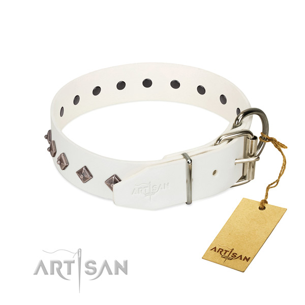 Stylish design adornments on leather collar for daily use your four-legged friend