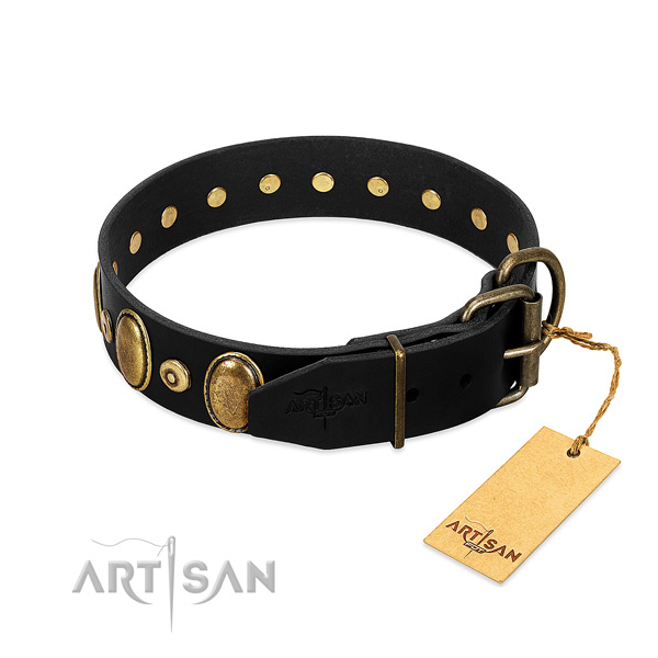 Corrosion proof decorations on everyday walking collar for your canine
