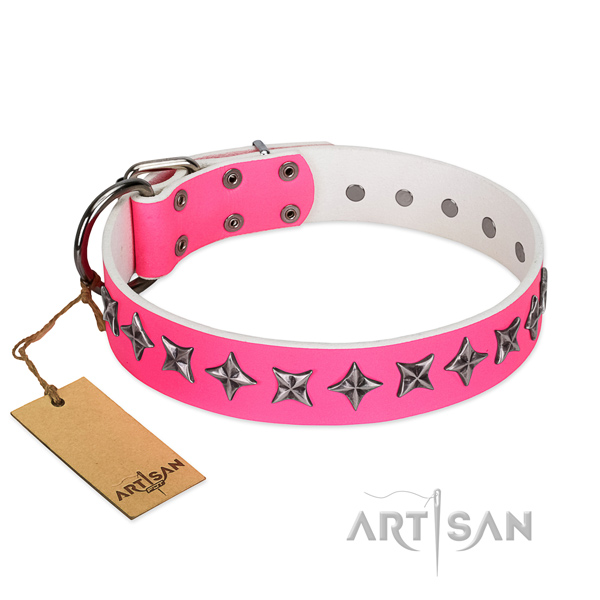 Top notch leather dog collar with unusual studs
