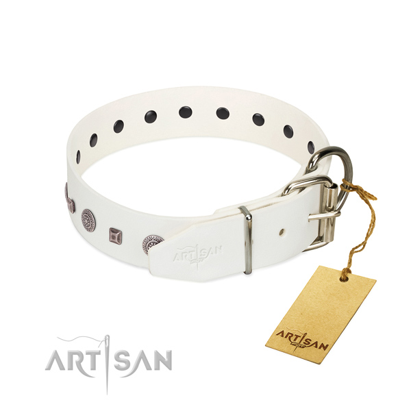 Strong D-ring on handy use collar for your four-legged friend
