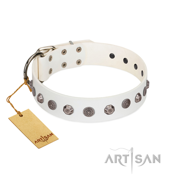 Full grain natural leather dog collar of quality material with significant embellishments