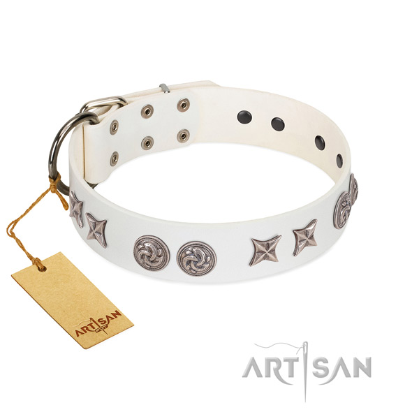 Corrosion proof buckle on adorned genuine leather dog collar