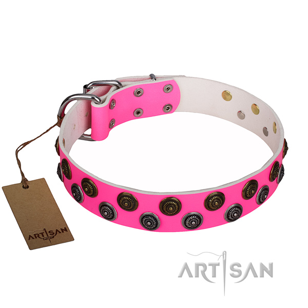 Everyday use dog collar of durable full grain genuine leather with embellishments