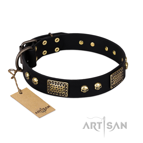 Easy adjustable full grain leather dog collar for everyday walking your canine