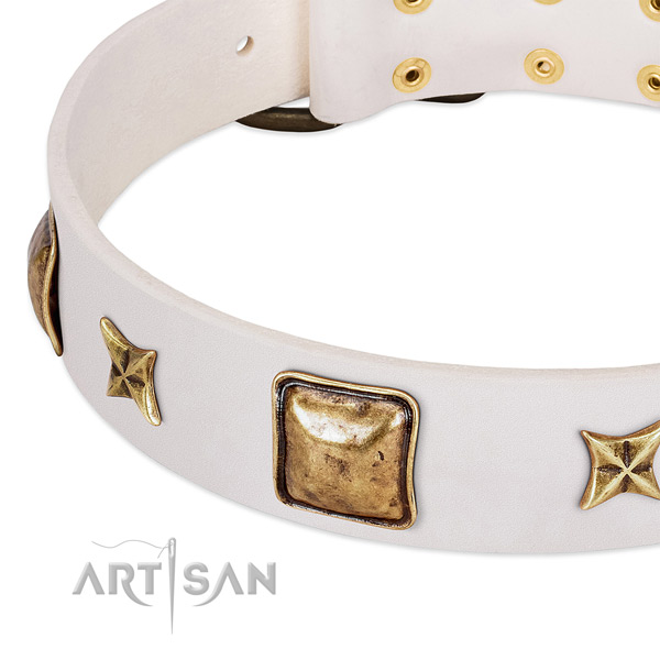 Reliable studs on natural genuine leather dog collar for your canine