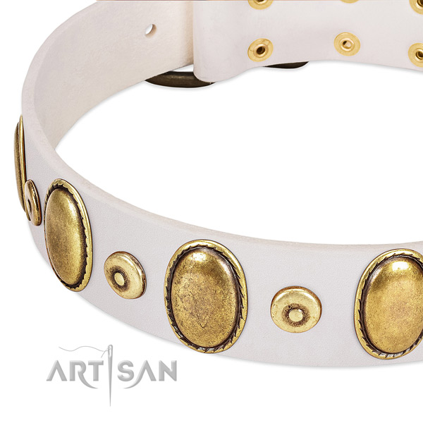 Quality full grain natural leather collar with rust-proof studs for your dog