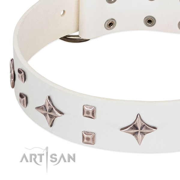 Everyday use quality genuine leather dog collar with embellishments